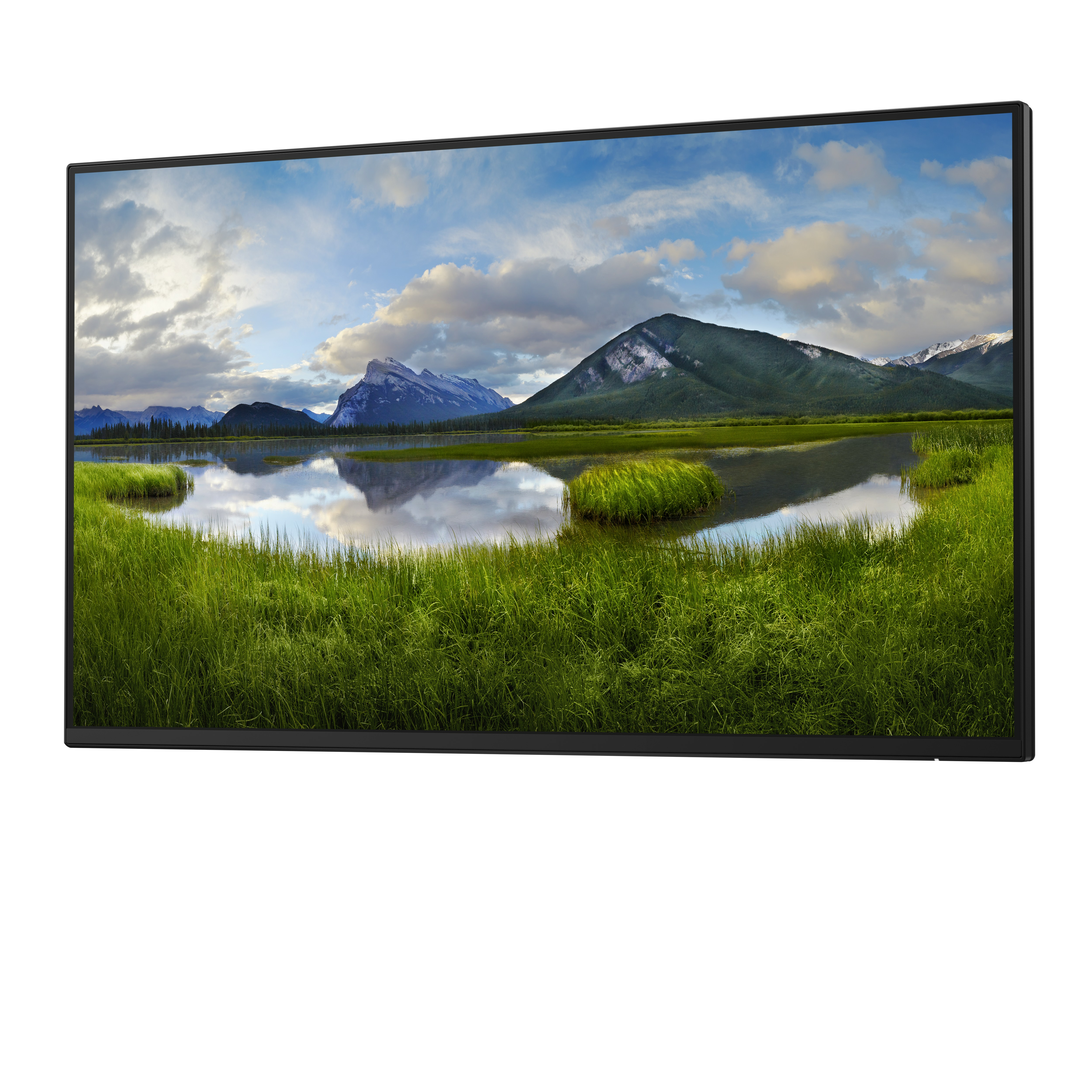 DELL Pro Plus P2425H_WOST — miniatura 2