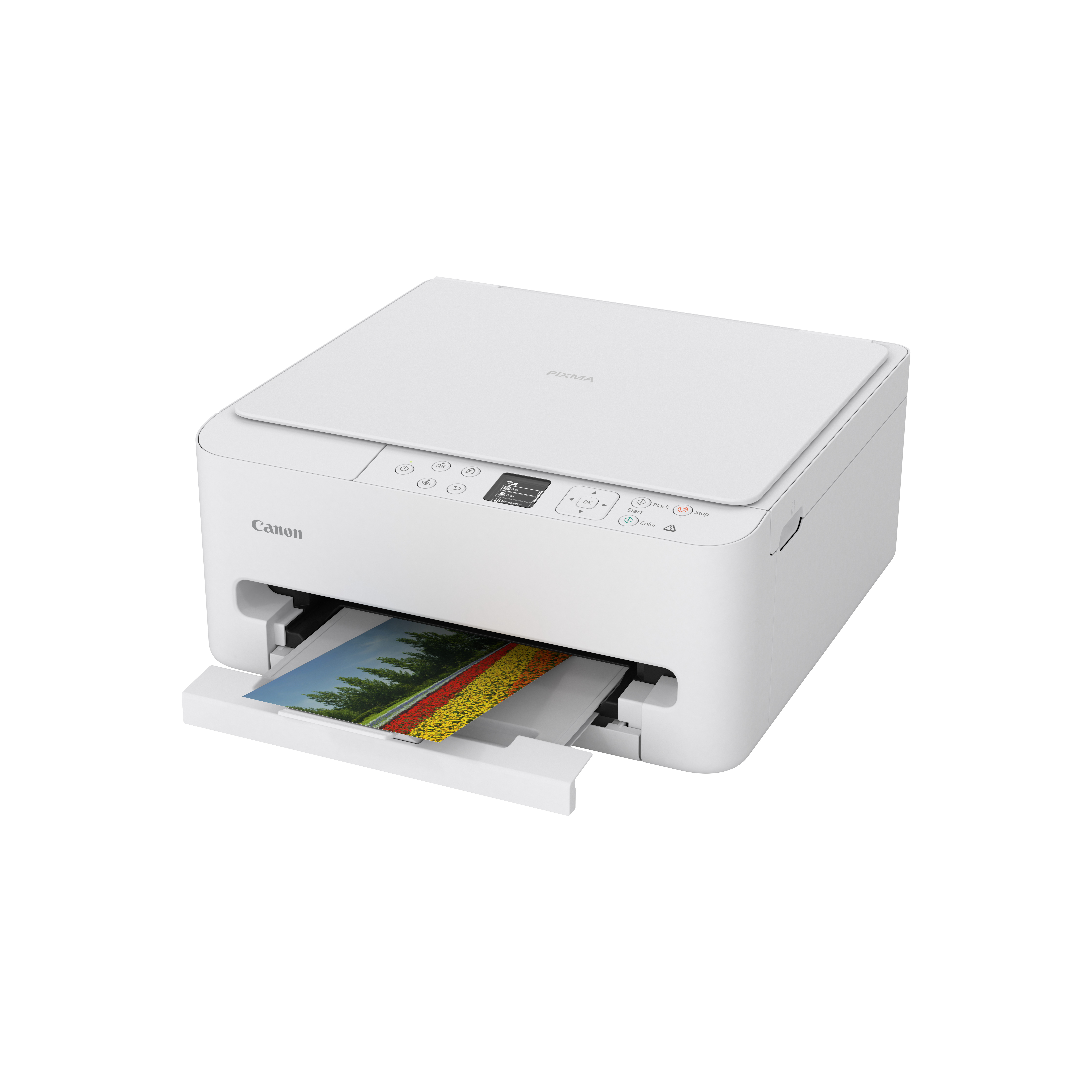 Canon PIXMA TS6550i — miniatura 5