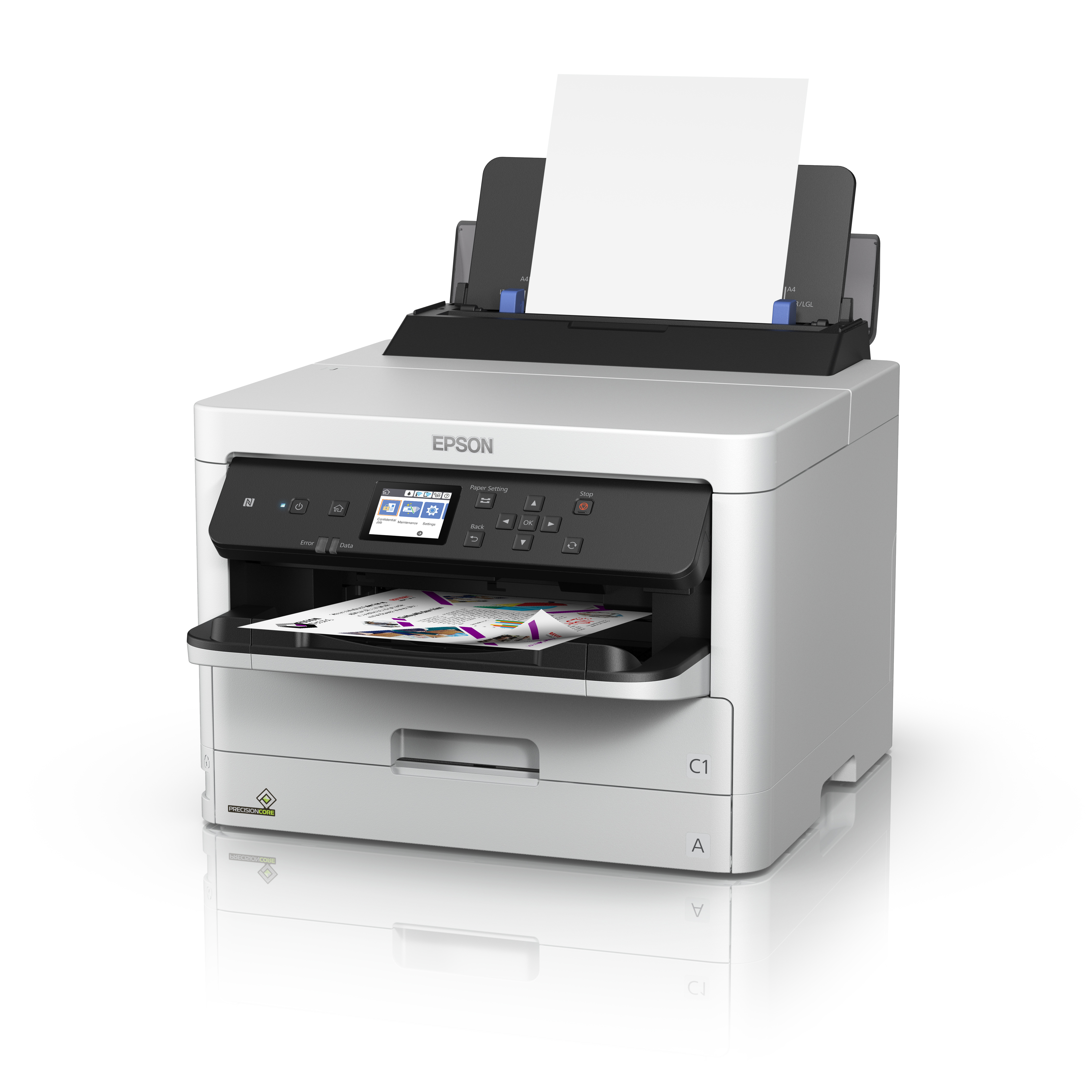 Epson DURABrite Pro — miniatura 3