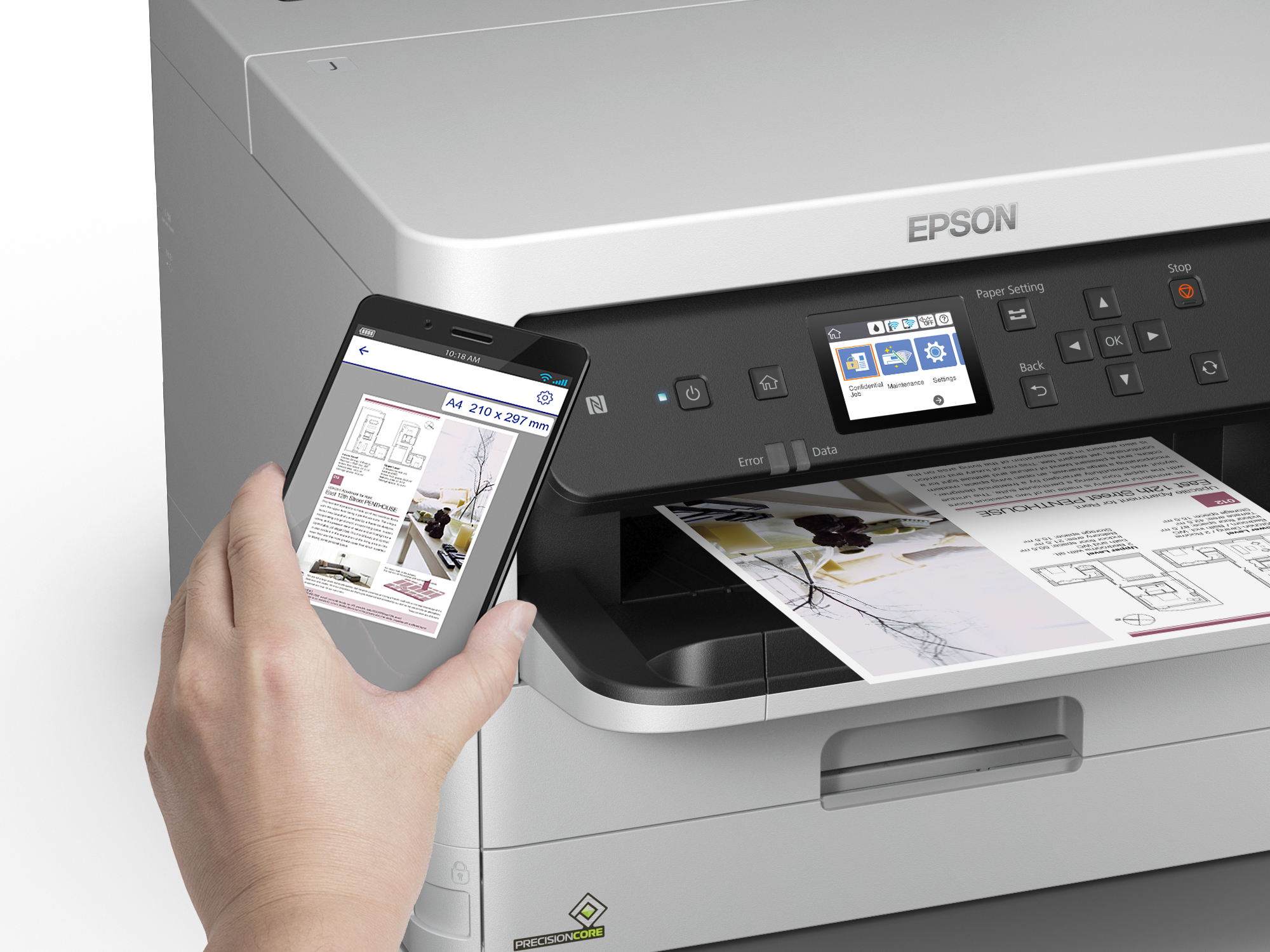Epson DURABrite Pro — miniatura 8