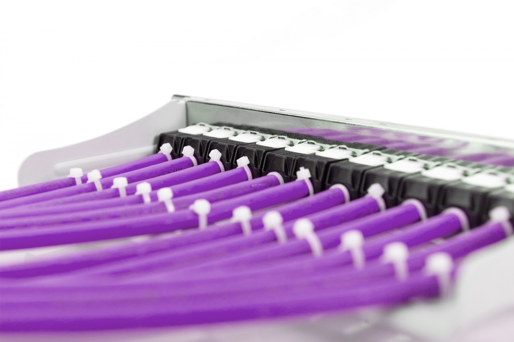 DIGITUS BOBINE CAT6A U/UTP 305M SIMPLEX DCA ROXO — miniatura 2