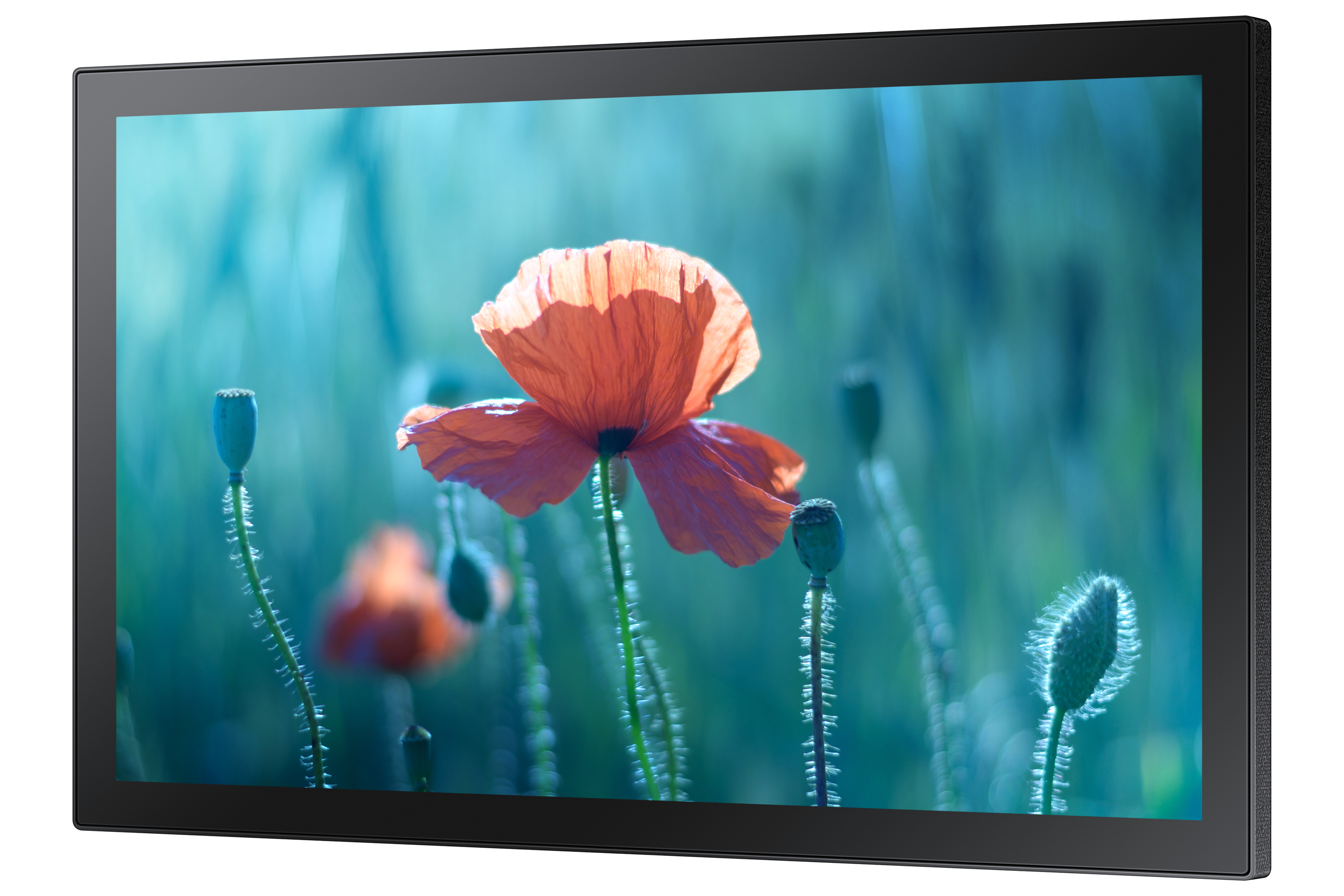 Samsung QB13R-T — miniatura 4