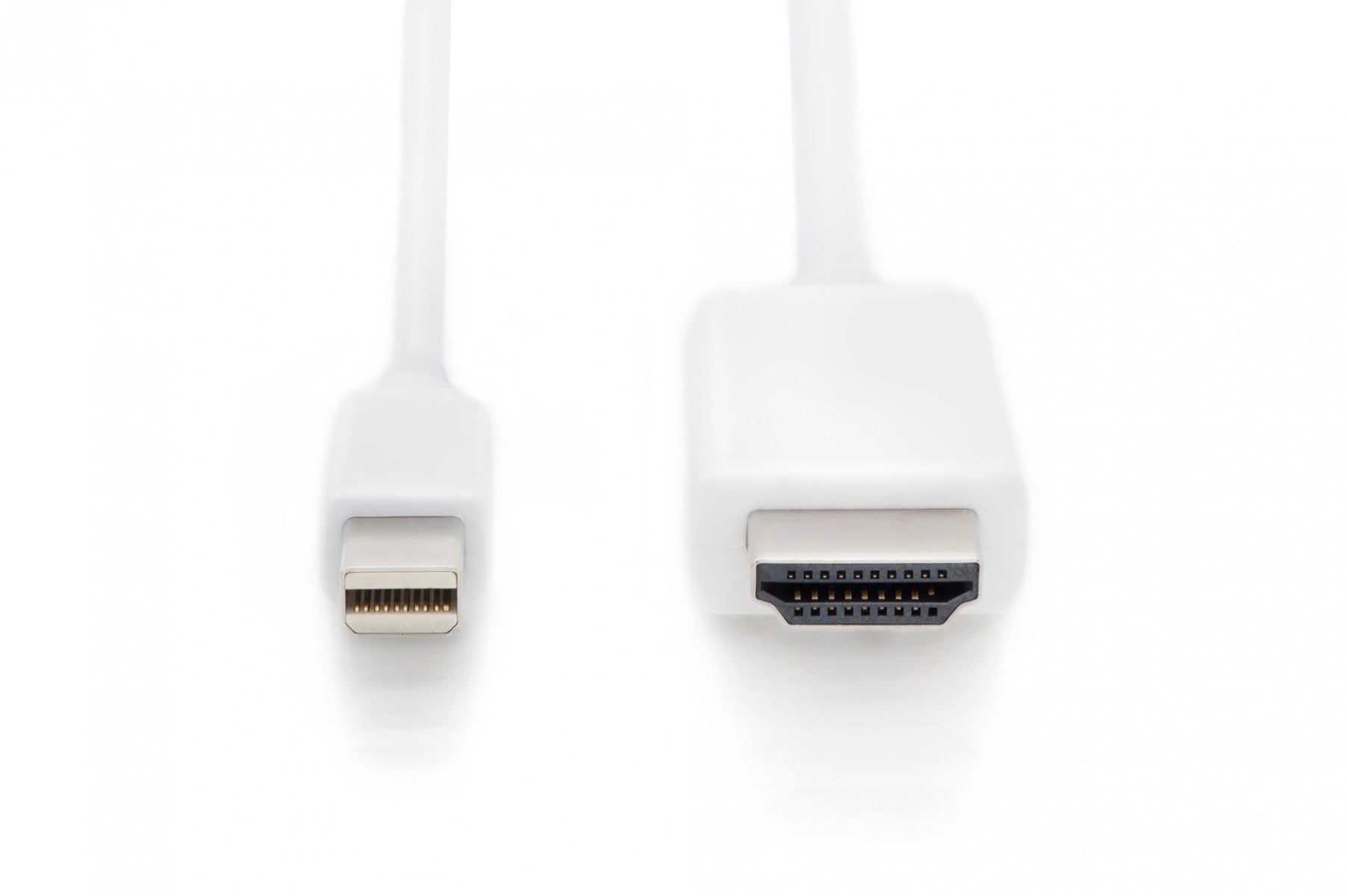 DIGITUS CABO ADAPTADOR MINI DISPLAYPORT 1.2 HDMI A M/M 2MT 4K 60HZ BRANCO — miniatura 2