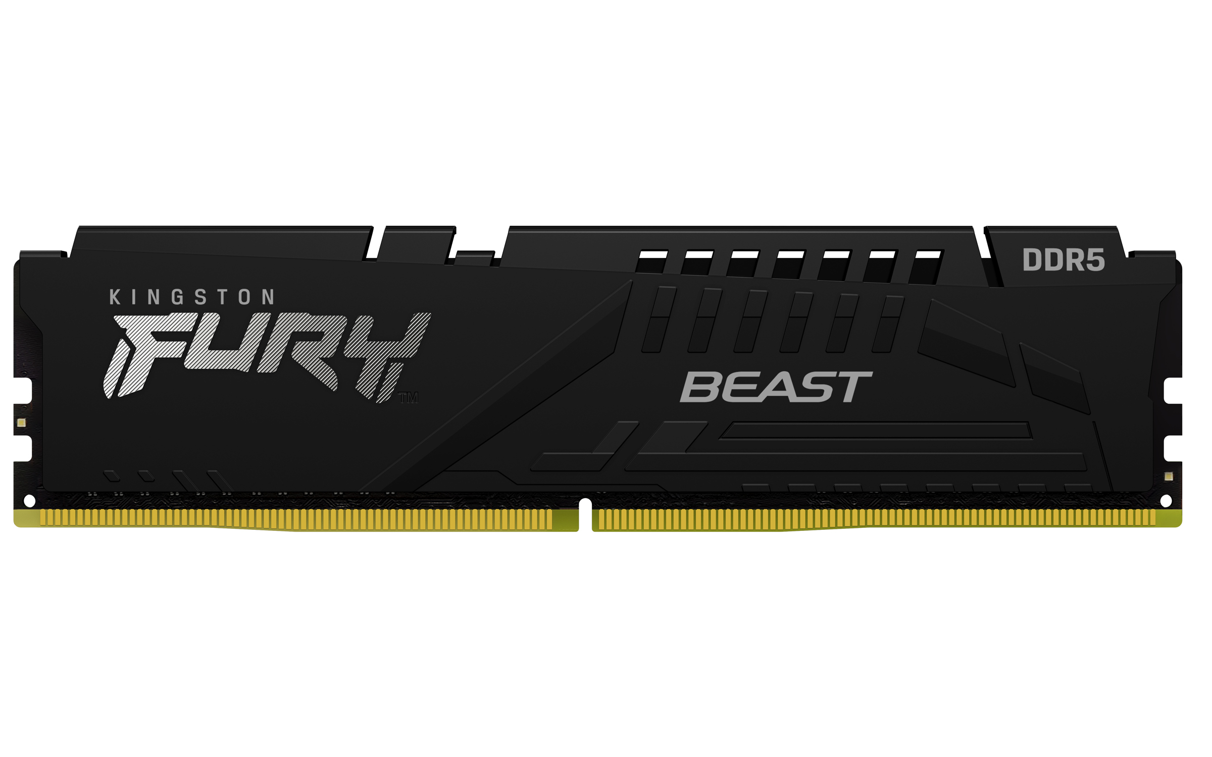 Kingston Technology FURY Beast — miniatura 2