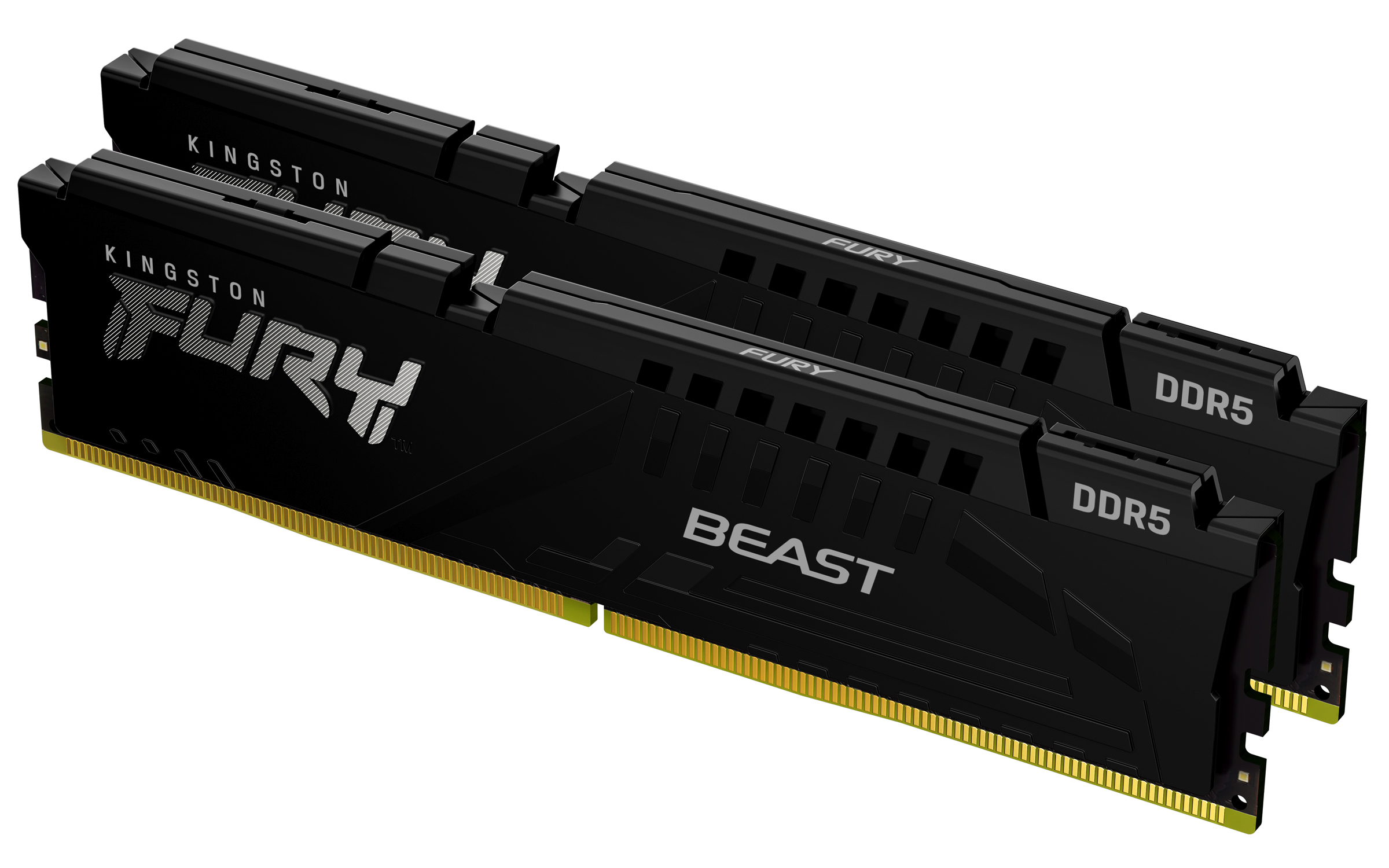 Kingston Technology FURY Beast