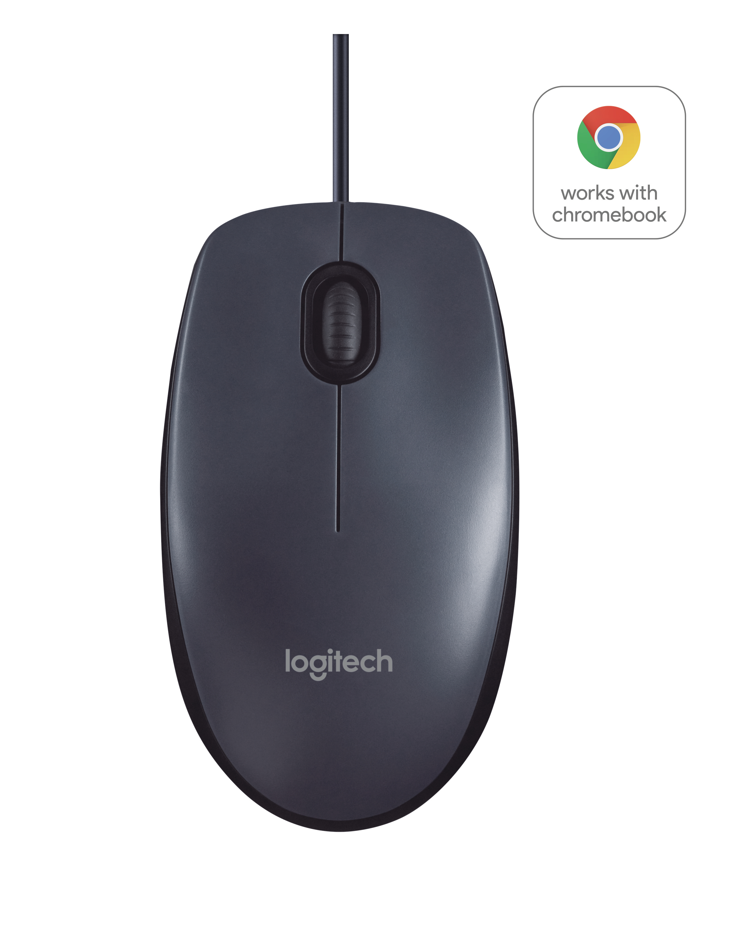 Logitech B100