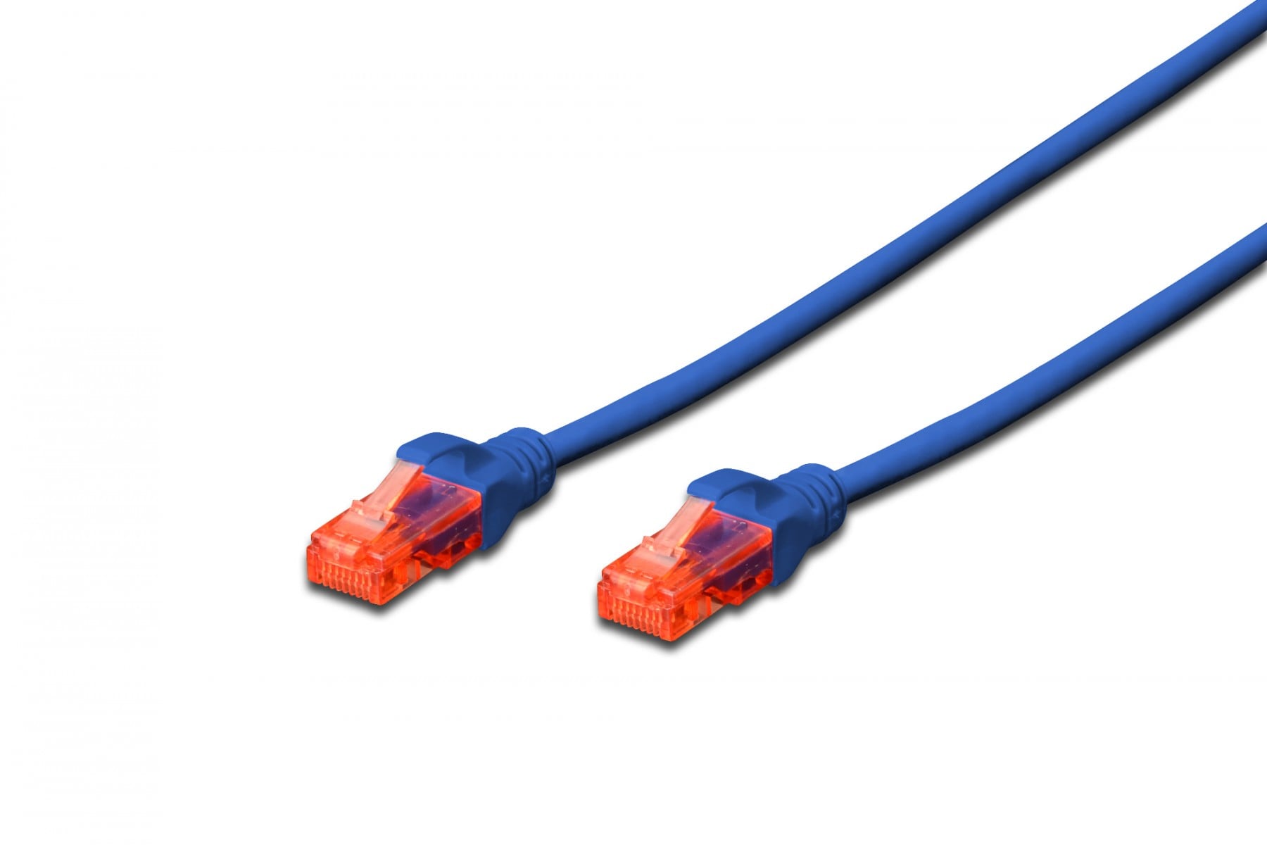 DIGITUS CHICOTE CAT6 U/UTP LSZH 0.25MT AZUL