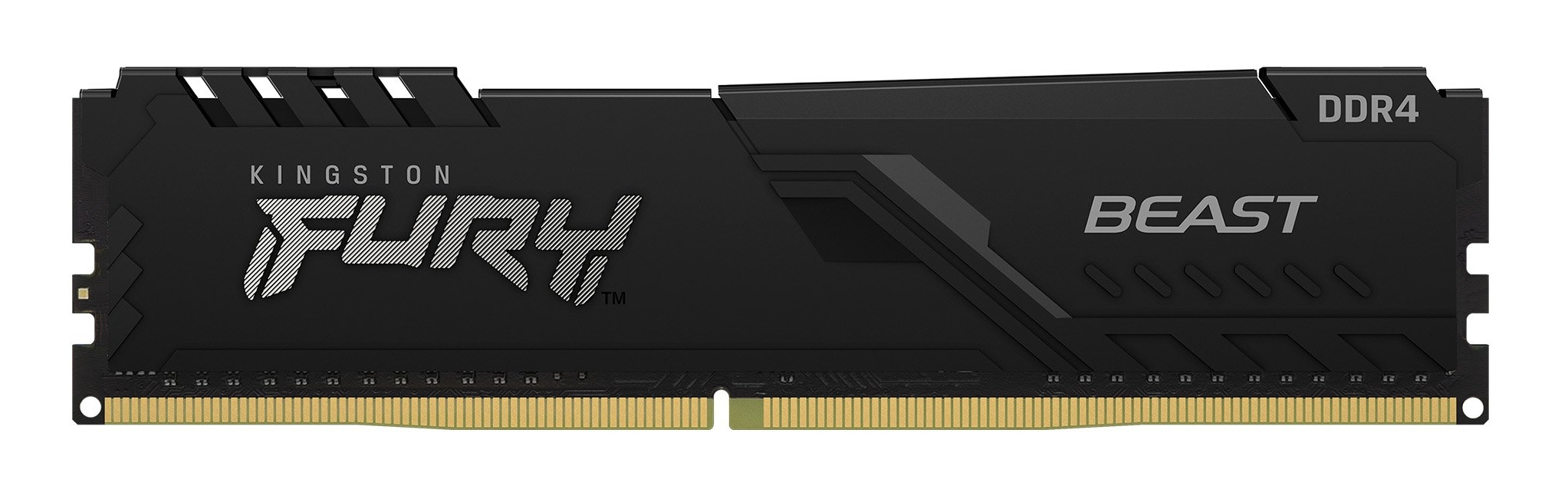 Kingston Technology FURY Beast
