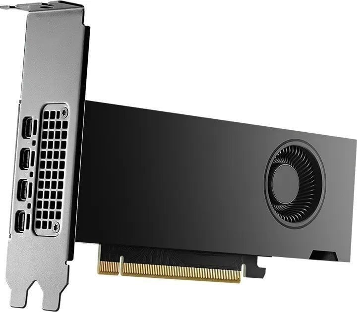 NVIDIA RTX - Cartão gráfico - NVIDIA RTX 2000 Ada - 16 GB GDDR6 - PCIe 4.0 x16 - 4 x Mini DisplayPort